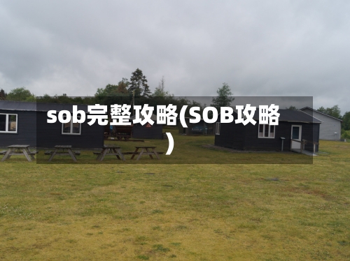 sob完整攻略(SOB攻略)-第1张图片