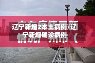 辽宁新增2本土病例/辽宁新增确诊病例-第1张图片