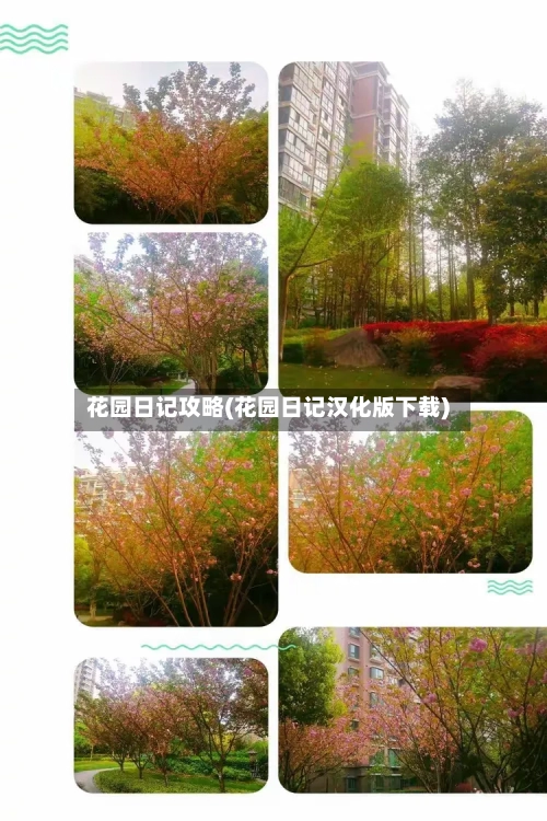 花园日记攻略(花园日记汉化版下载)-第1张图片