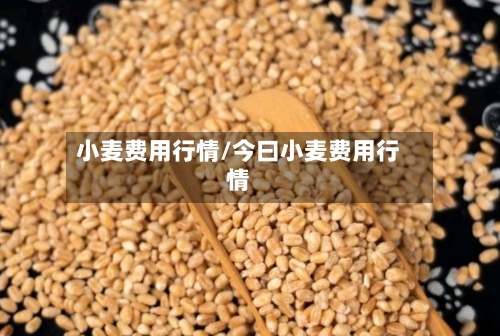 小麦费用行情/今曰小麦费用行情-第1张图片