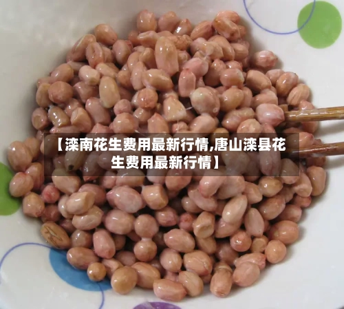 【滦南花生费用最新行情,唐山滦县花生费用最新行情】-第1张图片