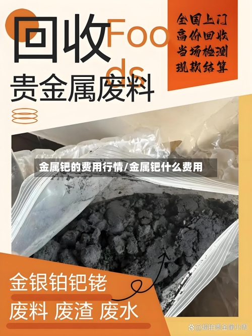 金属钯的费用行情/金属钯什么费用-第1张图片