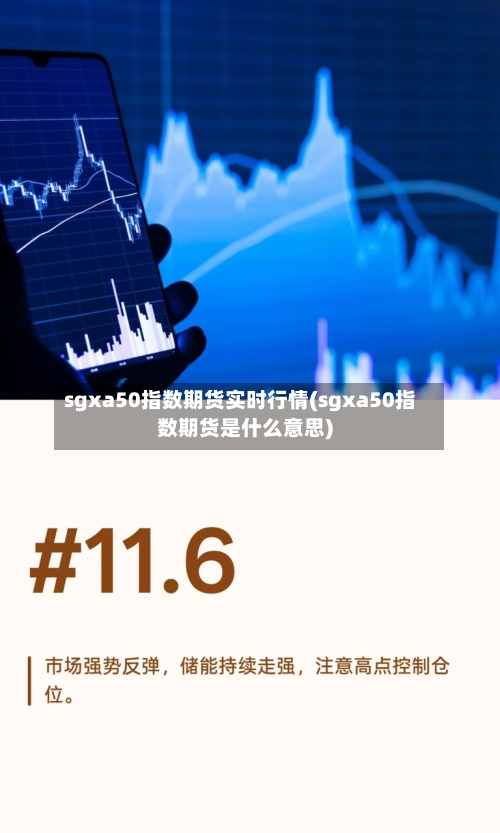 sgxa50指数期货实时行情(sgxa50指数期货是什么意思)-第1张图片