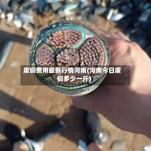 废铜费用最新行情河南(河南今日废铜多少一斤)-第1张图片