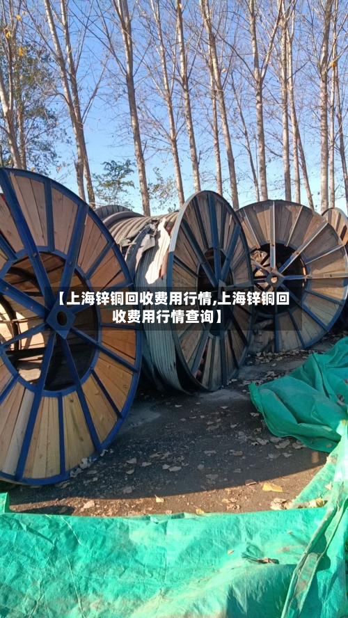 【上海锌铜回收费用行情,上海锌铜回收费用行情查询】-第1张图片