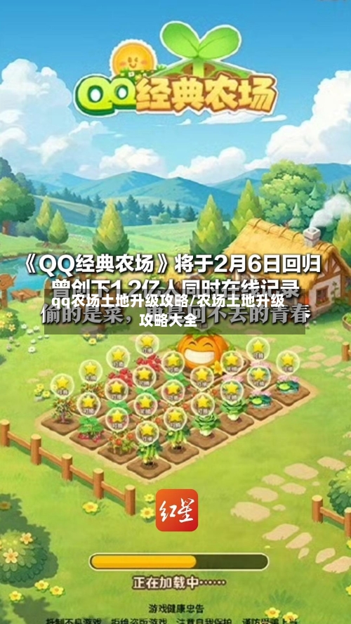 qq农场土地升级攻略/农场土地升级攻略大全-第1张图片