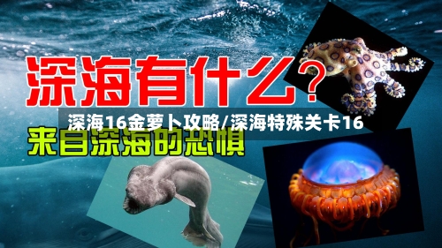 深海16金萝卜攻略/深海特殊关卡16-第1张图片