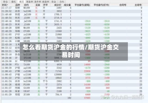怎么看期货沪金的行情/期货沪金交易时间-第1张图片