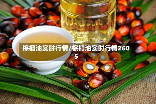 棕榈油实时行情/棕榈油实时行情2605-第1张图片