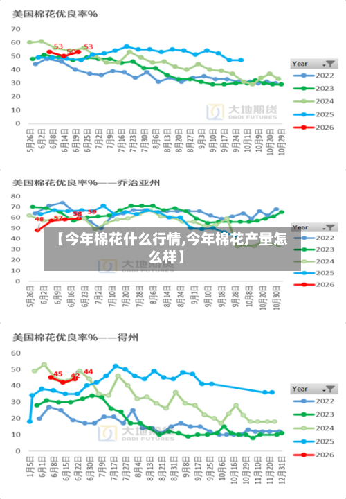 【今年棉花什么行情,今年棉花产量怎么样】-第1张图片