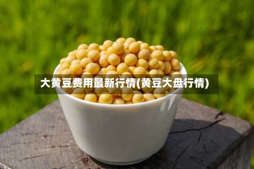 大黄豆费用最新行情(黄豆大盘行情)-第1张图片