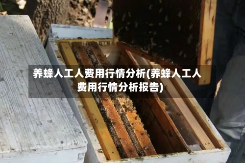 养蜂人工人费用行情分析(养蜂人工人费用行情分析报告)-第1张图片
