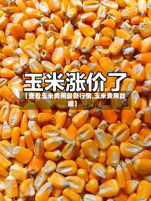【查看玉米费用最新行情,玉米费用数据】-第1张图片