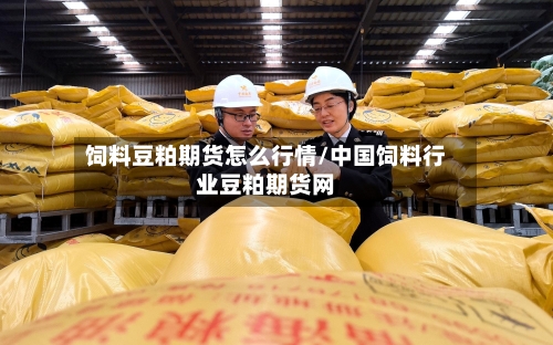 饲料豆粕期货怎么行情/中国饲料行业豆粕期货网-第1张图片