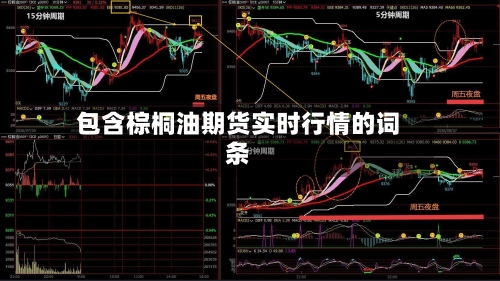 包含棕桐油期货实时行情的词条-第1张图片