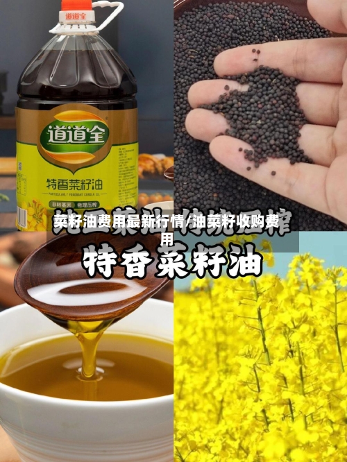 菜籽油费用最新行情/油菜籽收购费用-第1张图片