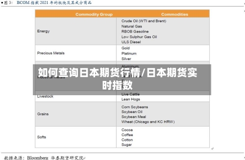 如何查询日本期货行情/日本期货实时指数-第1张图片