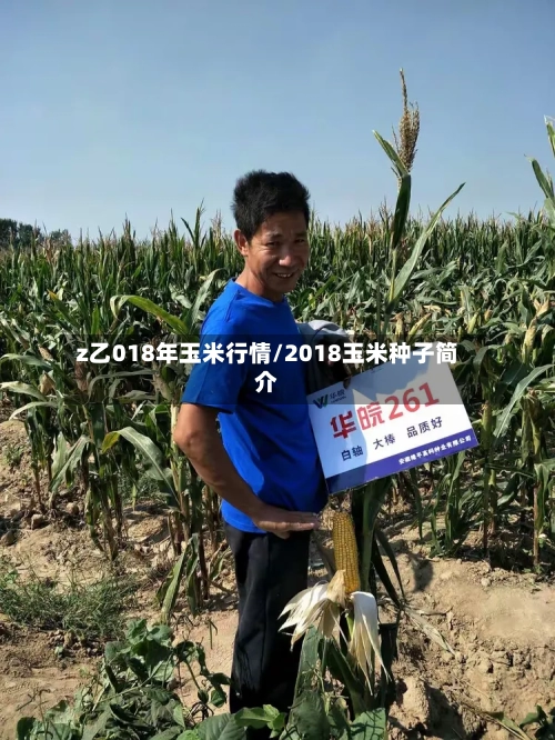 z乙018年玉米行情/2018玉米种子简介-第1张图片