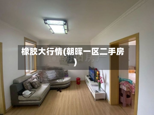 橡胶大行情(朝晖一区二手房)-第1张图片