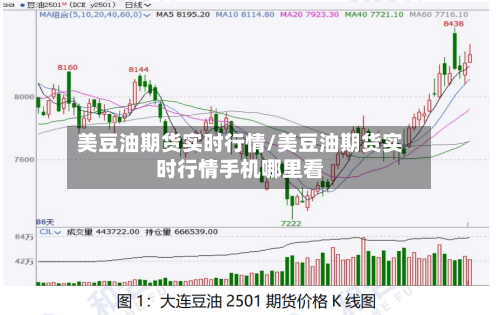 美豆油期货实时行情/美豆油期货实时行情手机哪里看-第1张图片