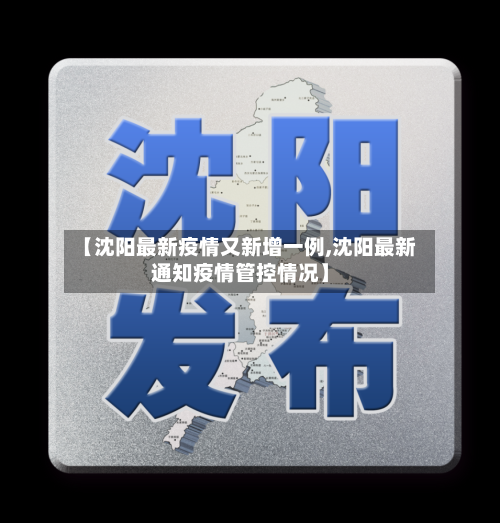 【沈阳最新疫情又新增一例,沈阳最新通知疫情管控情况】-第1张图片