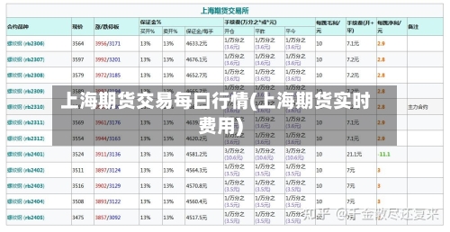 上海期货交易每曰行情(上海期货实时费用)-第1张图片