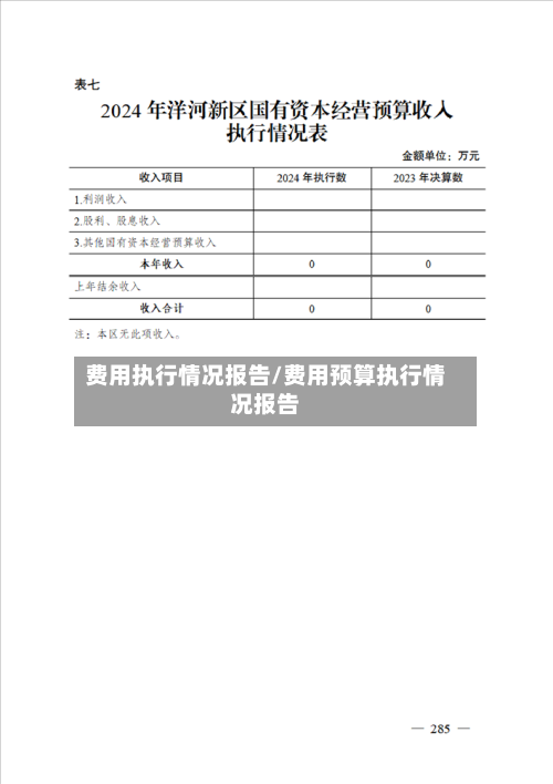 费用执行情况报告/费用预算执行情况报告-第1张图片