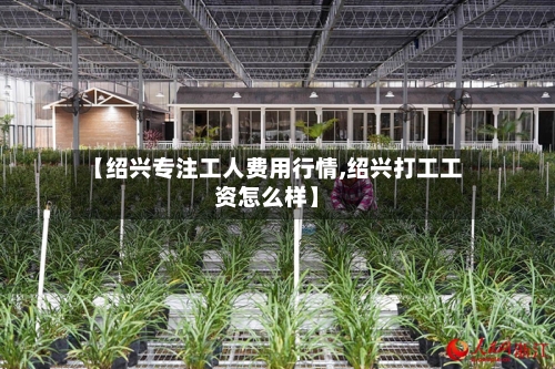 【绍兴专注工人费用行情,绍兴打工工资怎么样】-第1张图片
