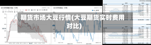 期货市场大豆行情(大豆期货实时费用对比)-第1张图片