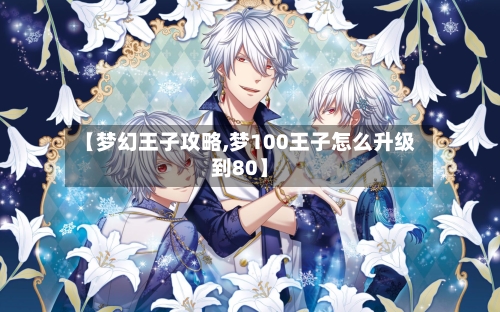 【梦幻王子攻略,梦100王子怎么升级到80】-第1张图片