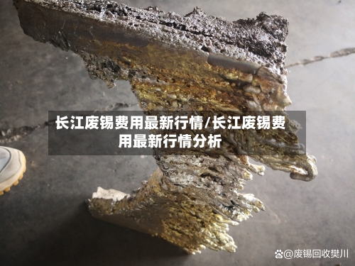 长江废锡费用最新行情/长江废锡费用最新行情分析-第1张图片