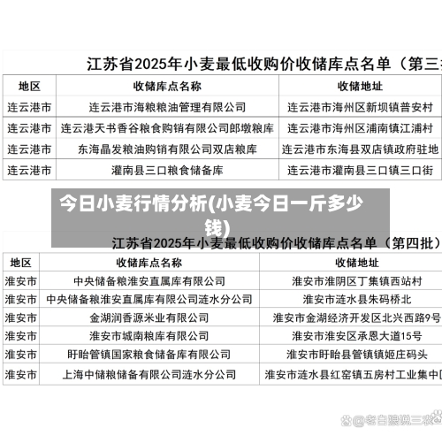 今日小麦行情分析(小麦今日一斤多少钱)-第1张图片