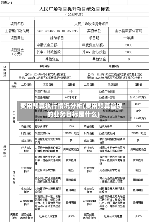 费用预算执行情况分析(费用预算管理的业务目标是什么)-第1张图片