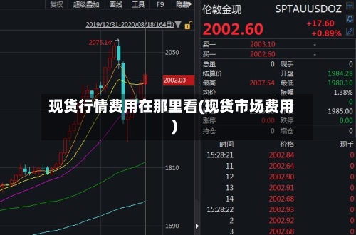 现货行情费用在那里看(现货市场费用)-第1张图片