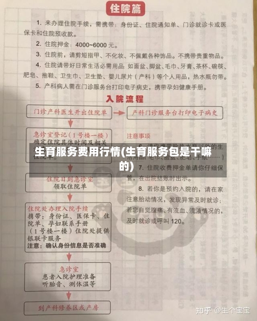 生育服务费用行情(生育服务包是干嘛的)-第1张图片