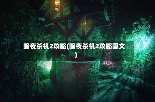 暗夜杀机2攻略(暗夜杀机2攻略图文)-第1张图片