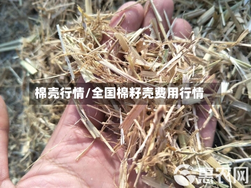 棉壳行情/全国棉籽壳费用行情-第1张图片