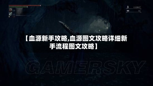 【血源新手攻略,血源图文攻略详细新手流程图文攻略】-第1张图片