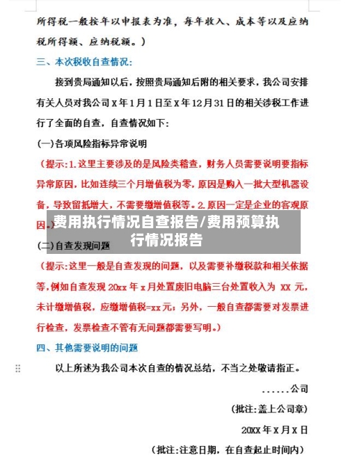 费用执行情况自查报告/费用预算执行情况报告-第1张图片