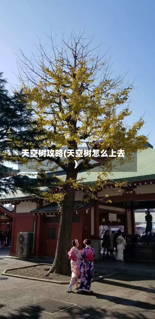 天空树攻略(天空树怎么上去)-第1张图片