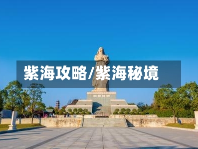 紫海攻略/紫海秘境-第1张图片