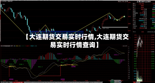【大连期货交易实时行情,大连期货交易实时行情查询】-第1张图片