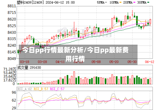 今日pp行情最新分析/今日pp最新费用行情-第1张图片