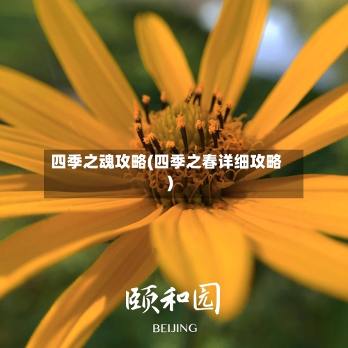 四季之魂攻略(四季之春详细攻略)-第1张图片