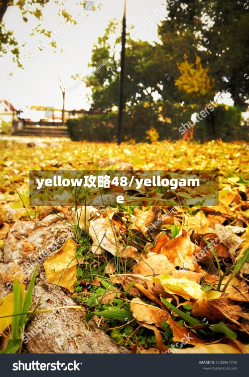 yellow攻略48/yellogame-第1张图片