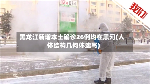 黑龙江新增本土确诊26例均在黑河(人体结构几何体速写)-第1张图片