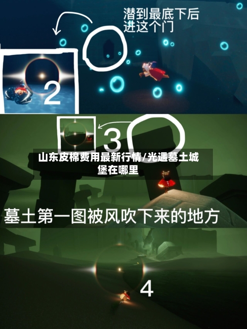 山东皮棉费用最新行情/光遇墓土城堡在哪里-第1张图片
