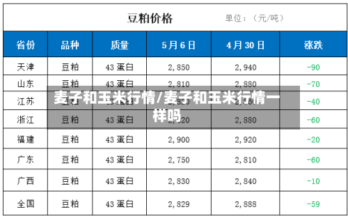 麦子和玉米行情/麦子和玉米行情一样吗-第1张图片