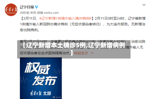 【辽宁新增本土确诊5例,辽宁新增病例】-第2张图片