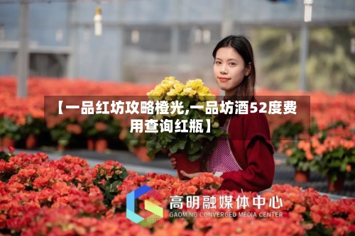 【一品红坊攻略橙光,一品坊酒52度费用查询红瓶】-第1张图片